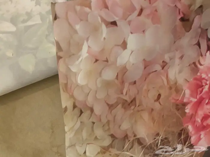 خلفيات تصوير 1