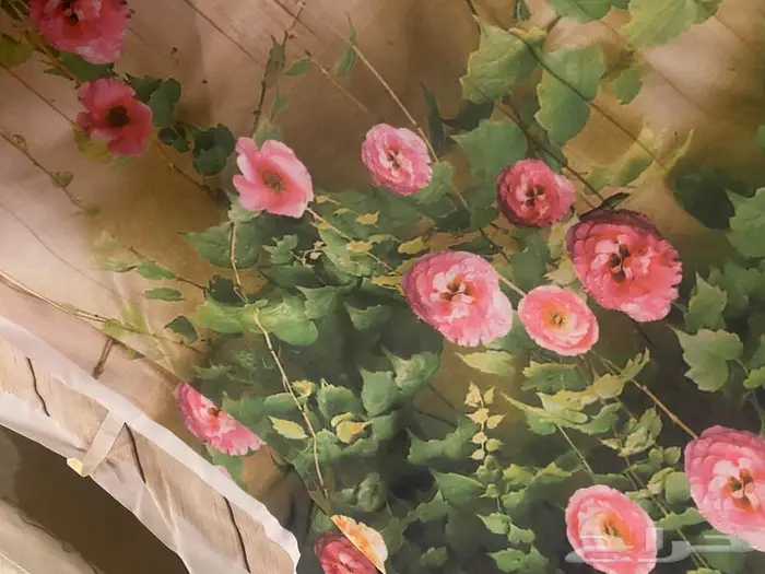 خلفيات تصوير 0