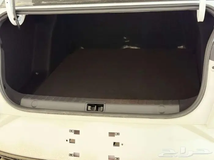 دونج فينج شاين E1 11