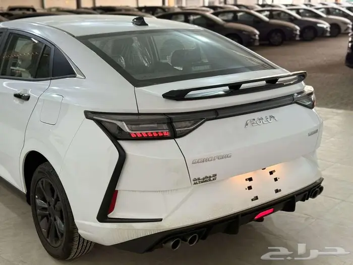 دونج فينج شاين E1 4