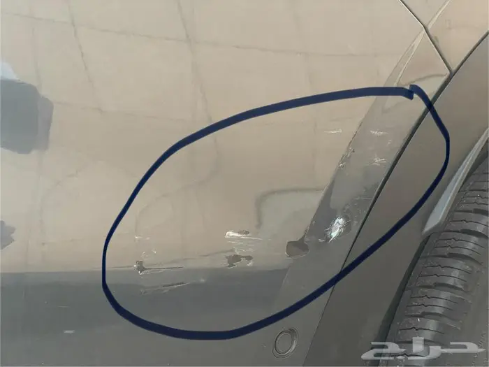 جيلي مونجارو 2023 3