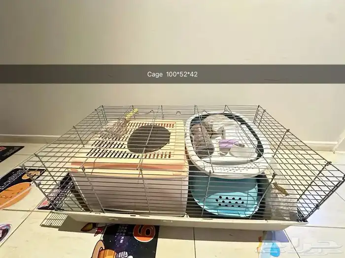 مستلزمات القطط Cat products 2