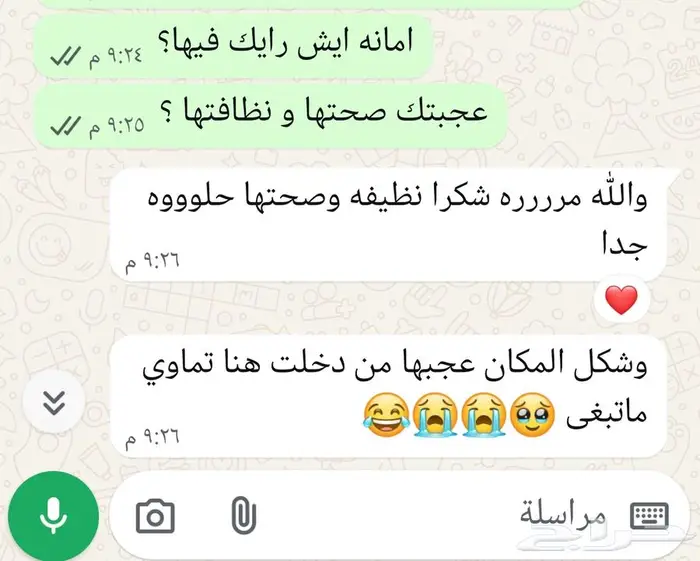 فندقة قطط منزلية 7