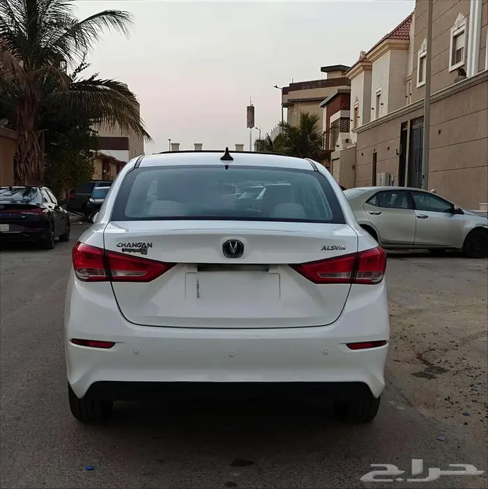 شانجان السفن 2025 3
