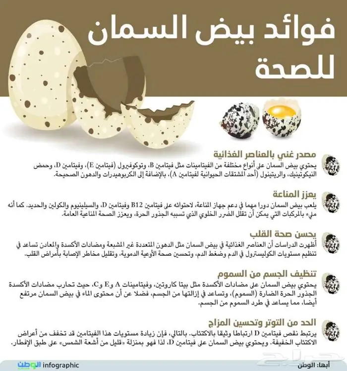 بيض سمان للأكل 2