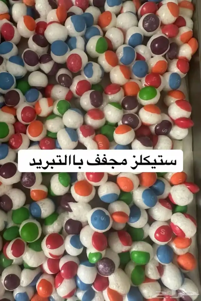 جملة حلويات مجففه باالتبريد 0