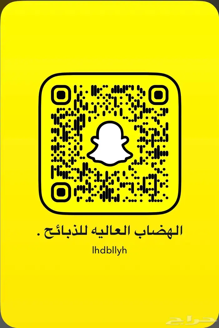 خرفان نعيم - حري - نجدي - تيوس 3