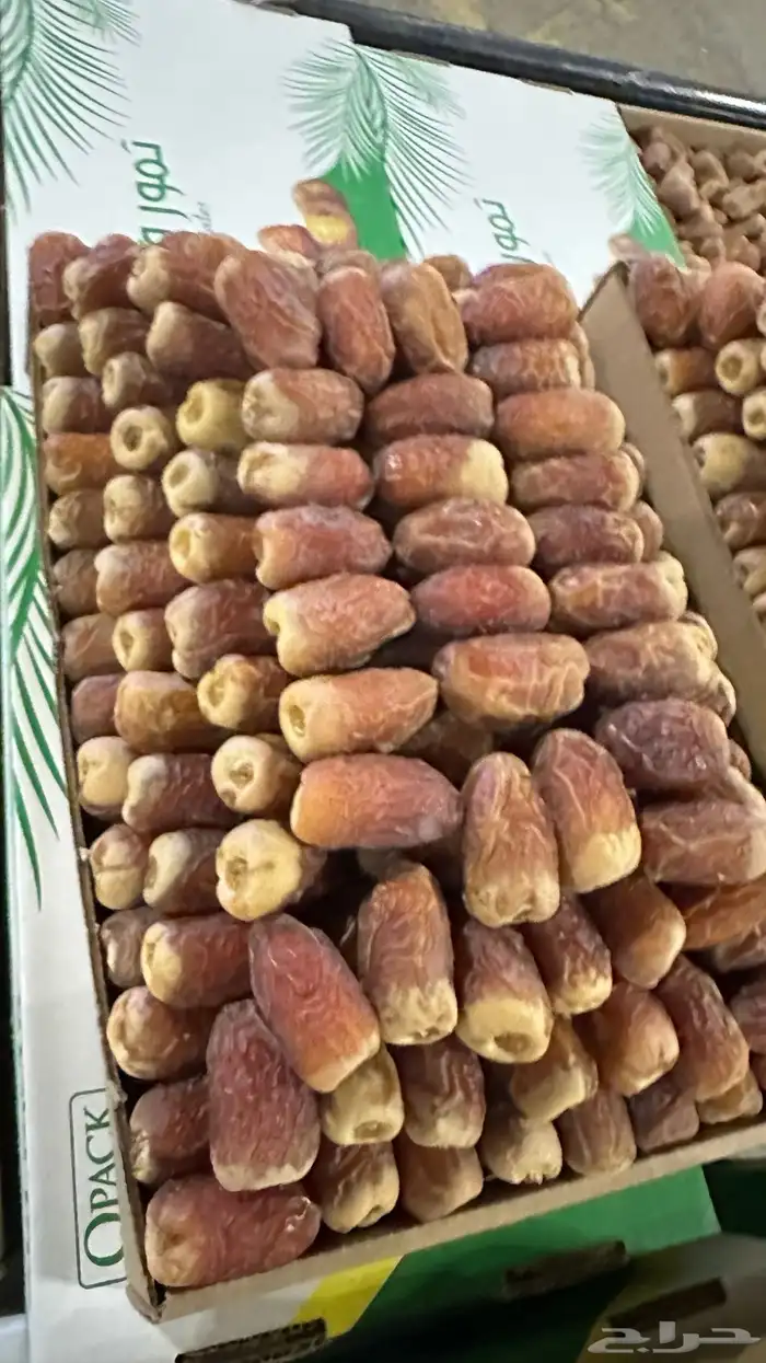 بيع جميع انواع التمور 7