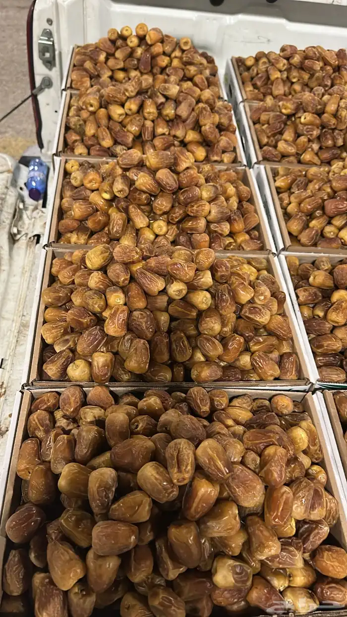 بيع جميع انواع التمور 0