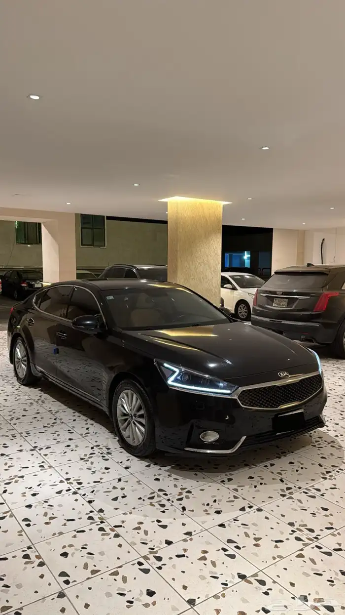 كادينزا 2018 3