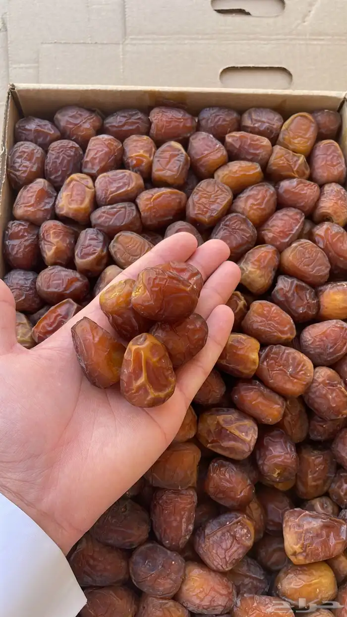 سكري جلكسي عضوي بدون كيماويات و سكري مفتل 3