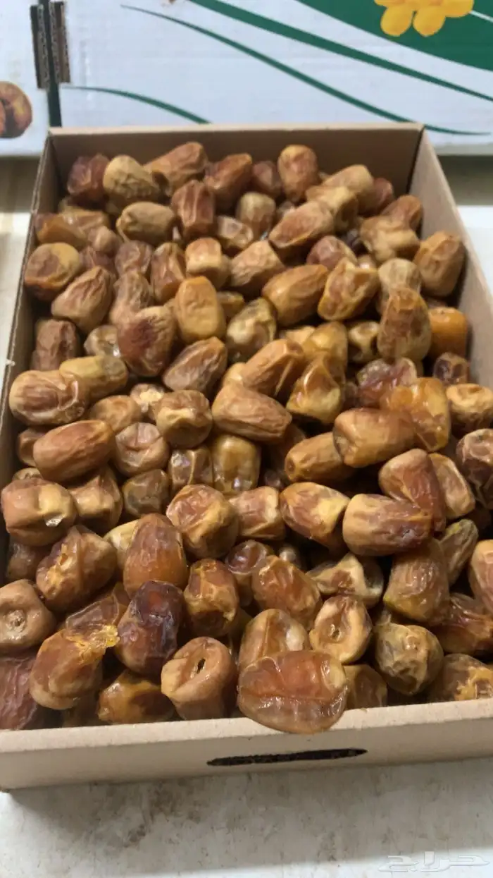 تمور مفتل سكري 4