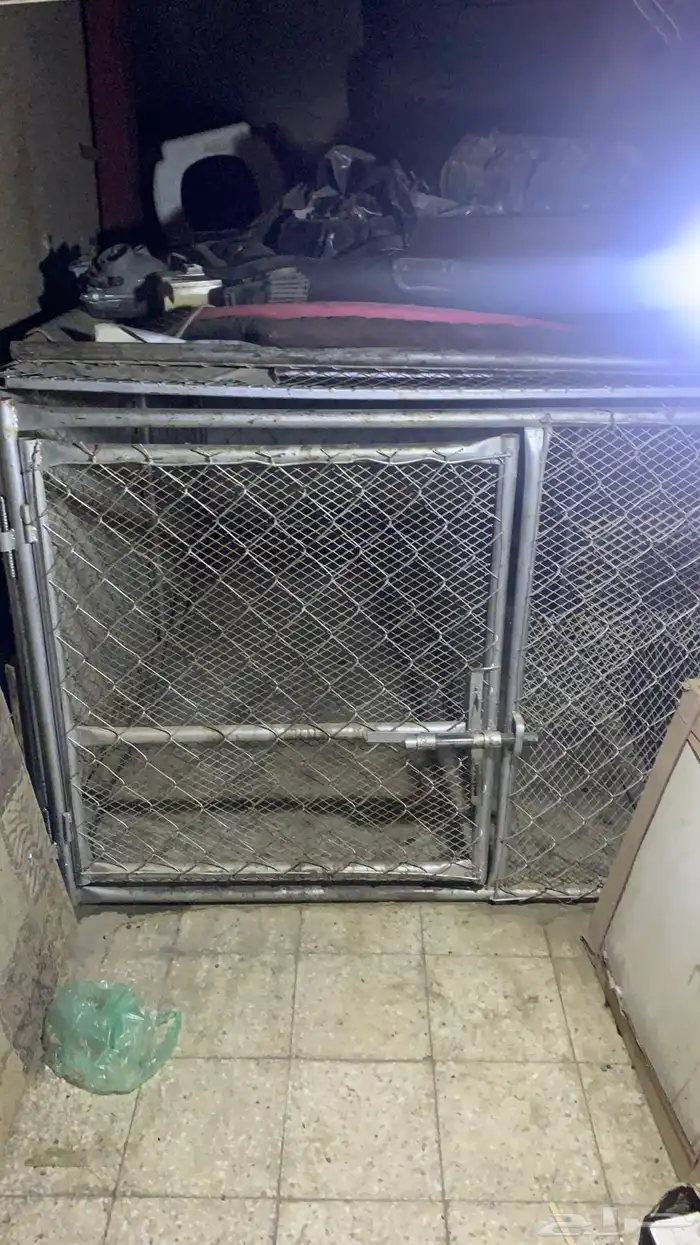 شبك البيع لارنب السوم 350 يوجد شبك 0