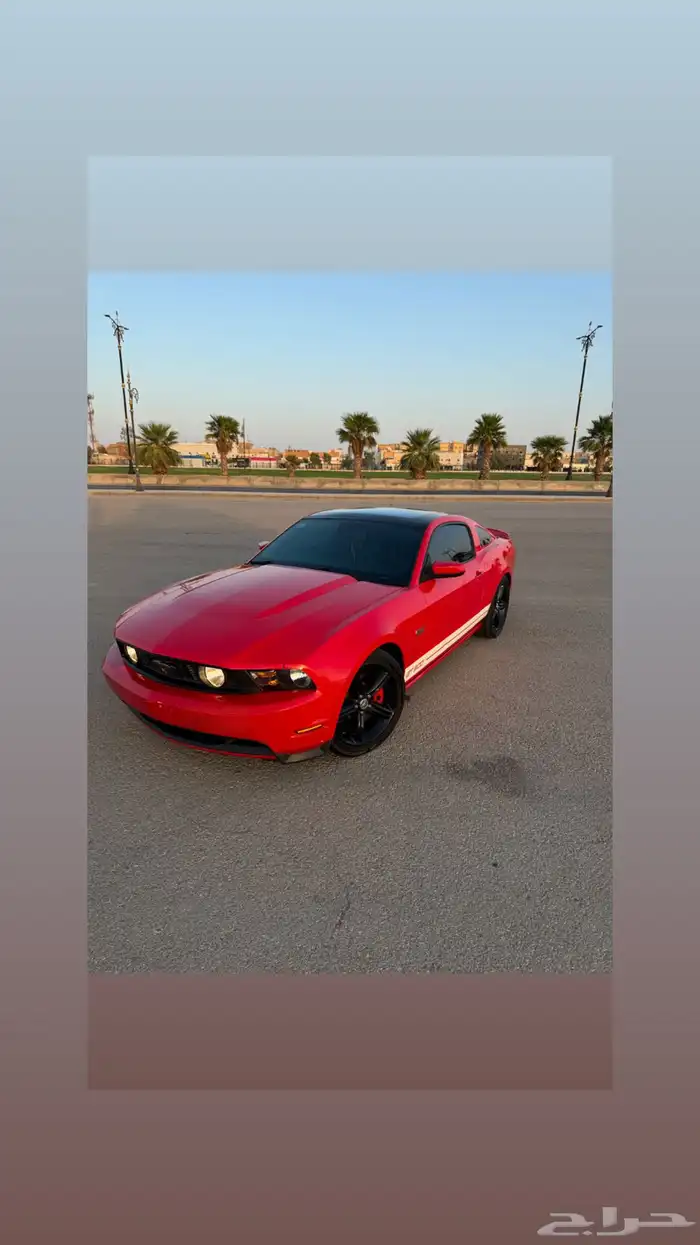 موستنج 2012 7