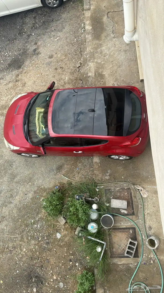 فيلوستر 2015 5