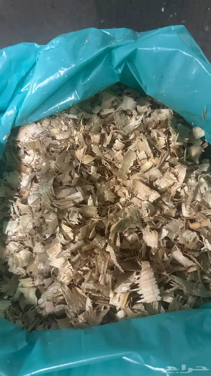 نشارة خيل 10 كيلو شرط 6