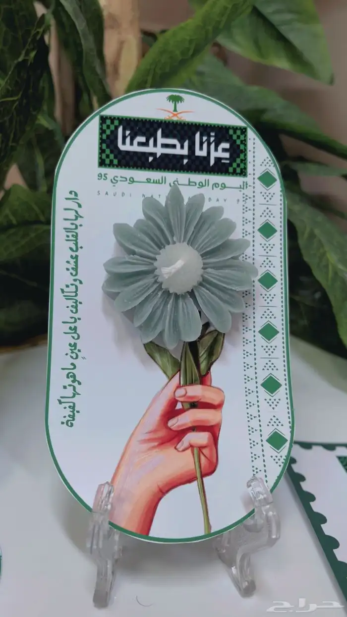 توزيعات اليوم الوطني السعودي 95 4
