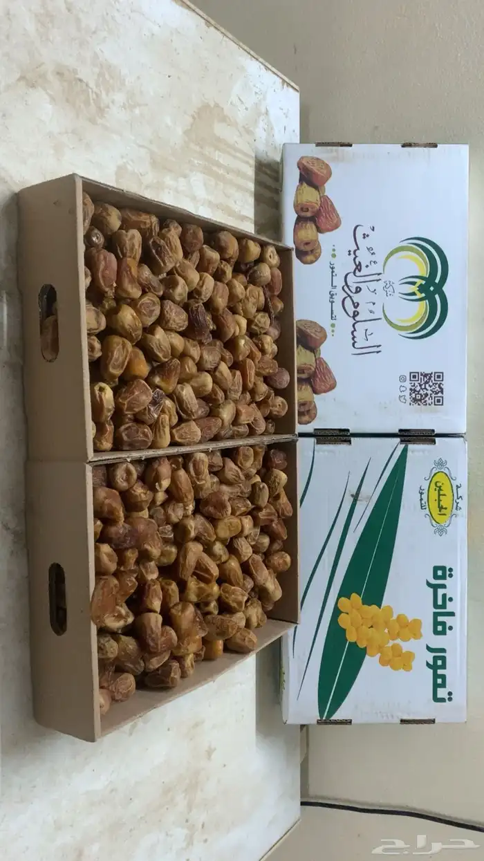 تمور مفتل سكري 5