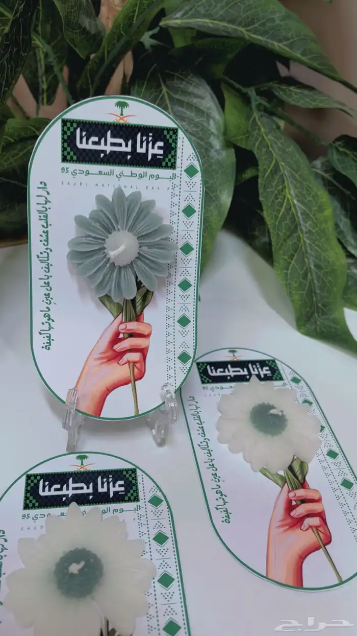 توزيعات اليوم الوطني السعودي 95 6