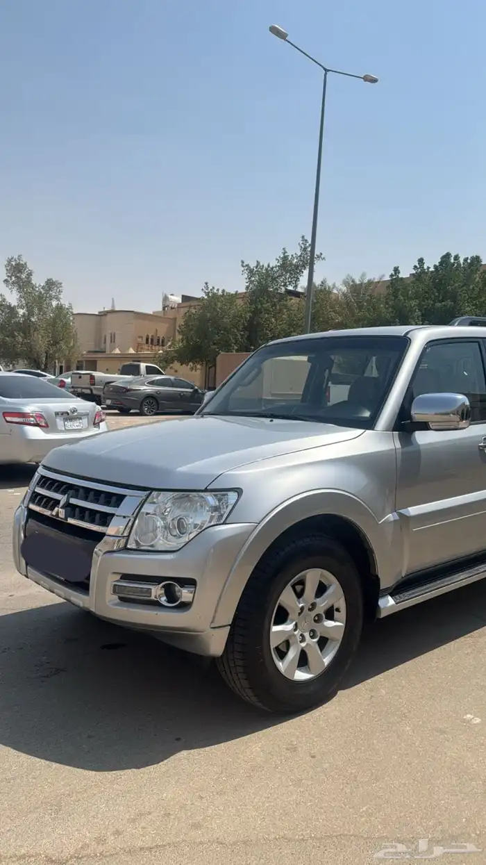 باجيرور 2020 8