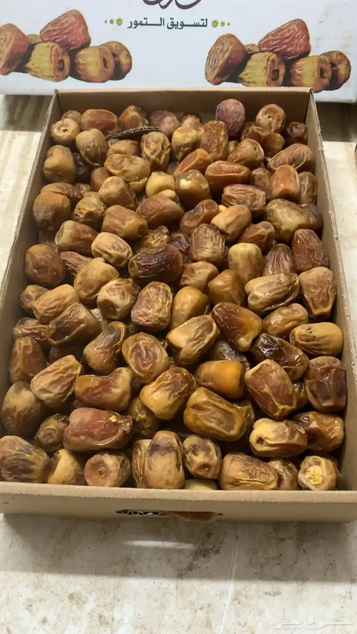 تمور مفتل سكري 0