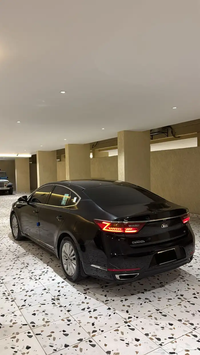 كادينزا 2018 1