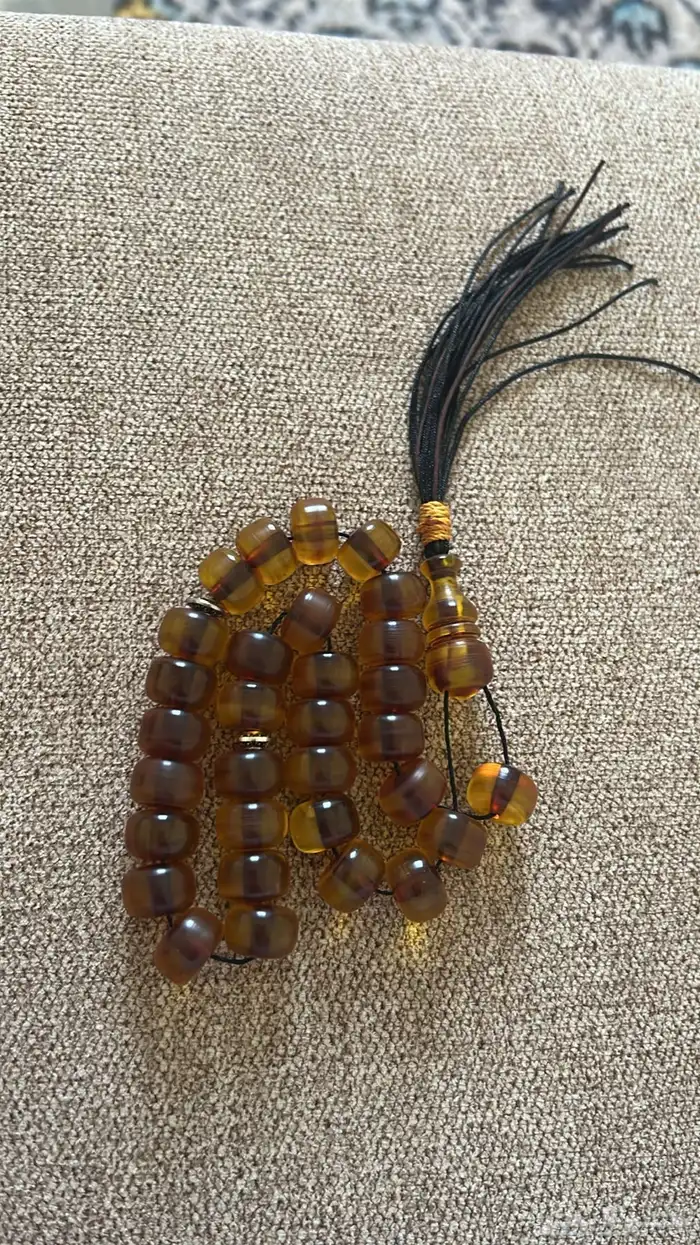 سباح للبيع 2