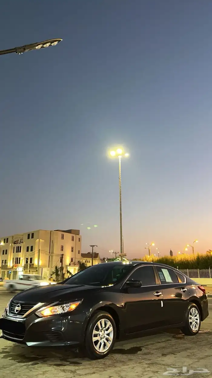 التيما 2018 1