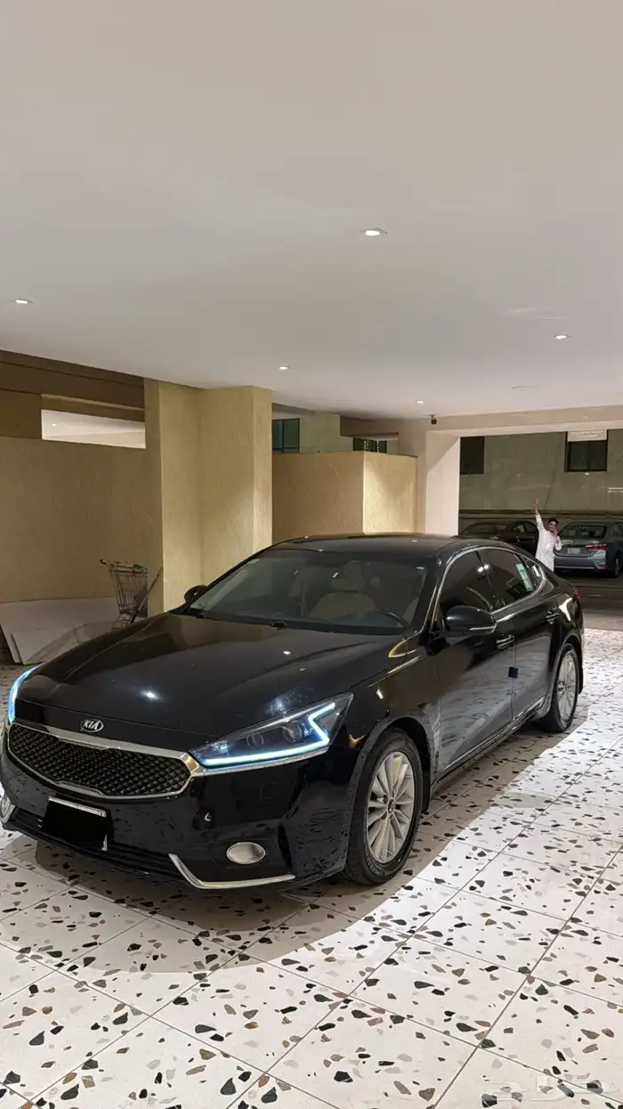 كادينزا 2018 2