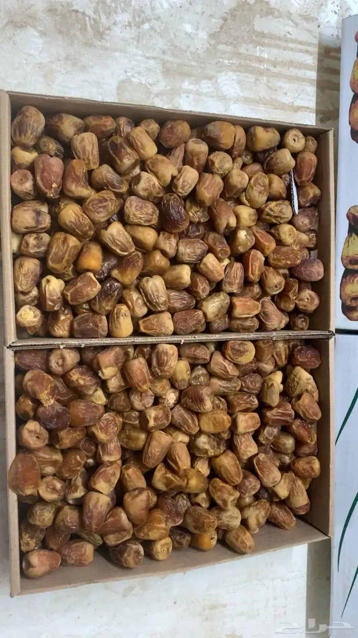 تمور مفتل سكري 3