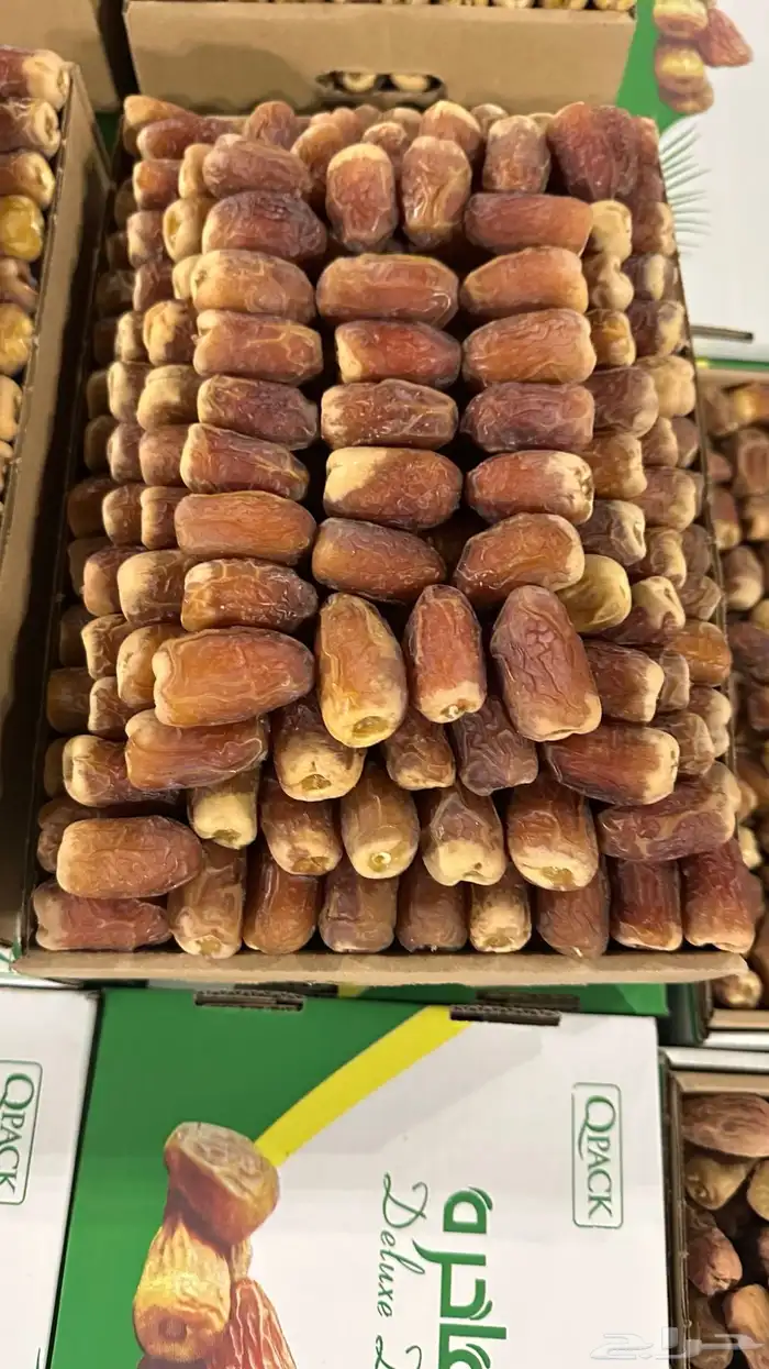 بيع جميع انواع التمور 5