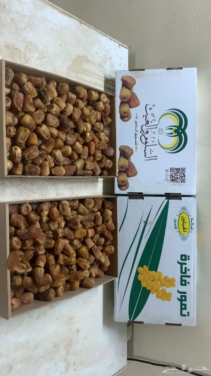 تمور مفتل سكري 2