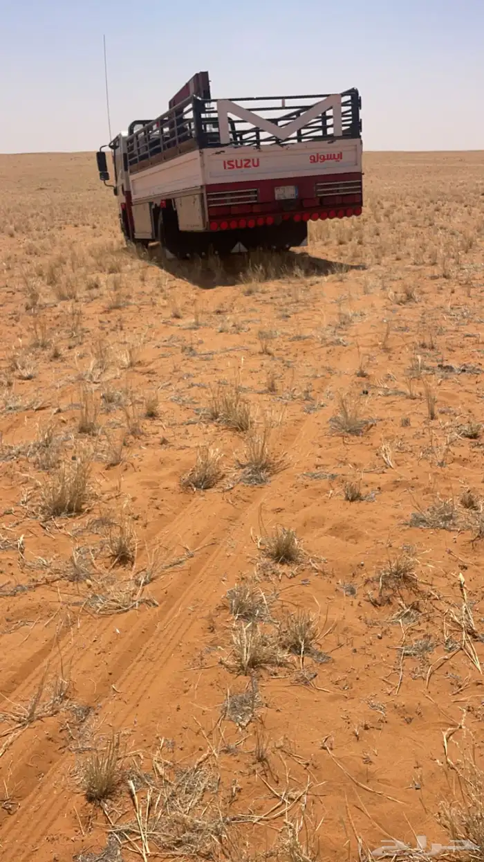 دنه ونش ل نقل الابل والمكاين 0