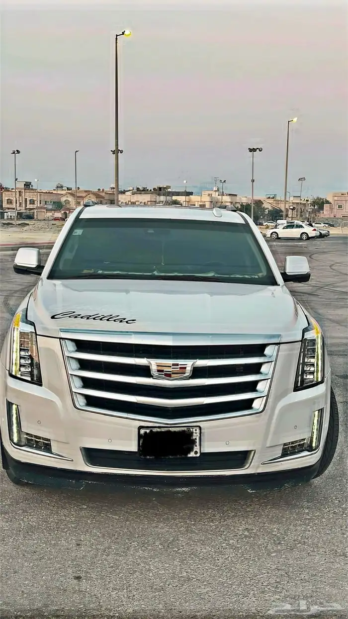كاديلاك اسكاليد 2019 0
