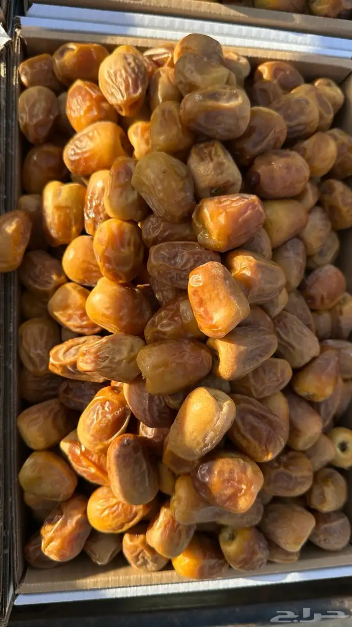 بيع جميع انواع التمور 1