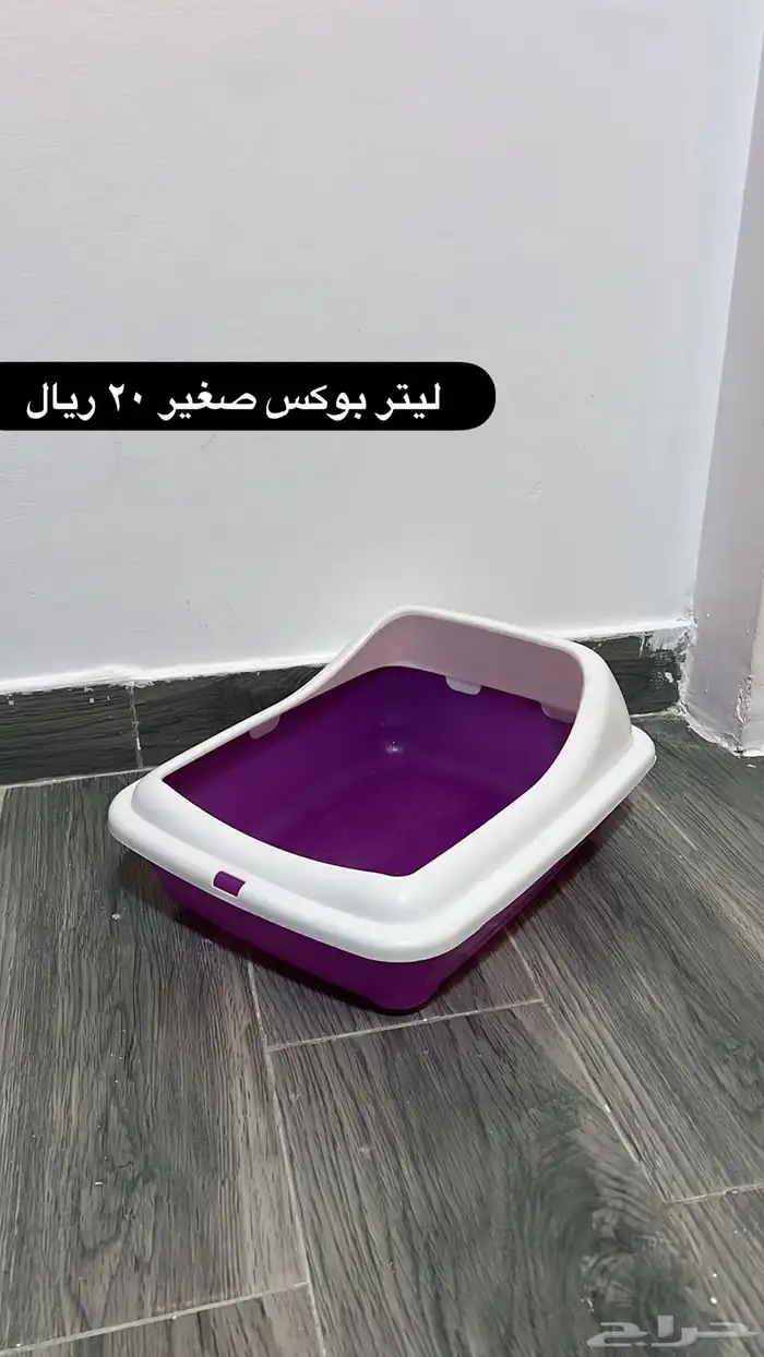 اغراض قطط للبيع 2