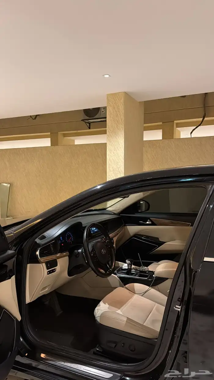 كادينزا 2018 4