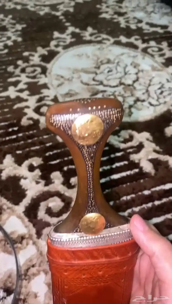 جنبيه زراف كفو مشروط 0