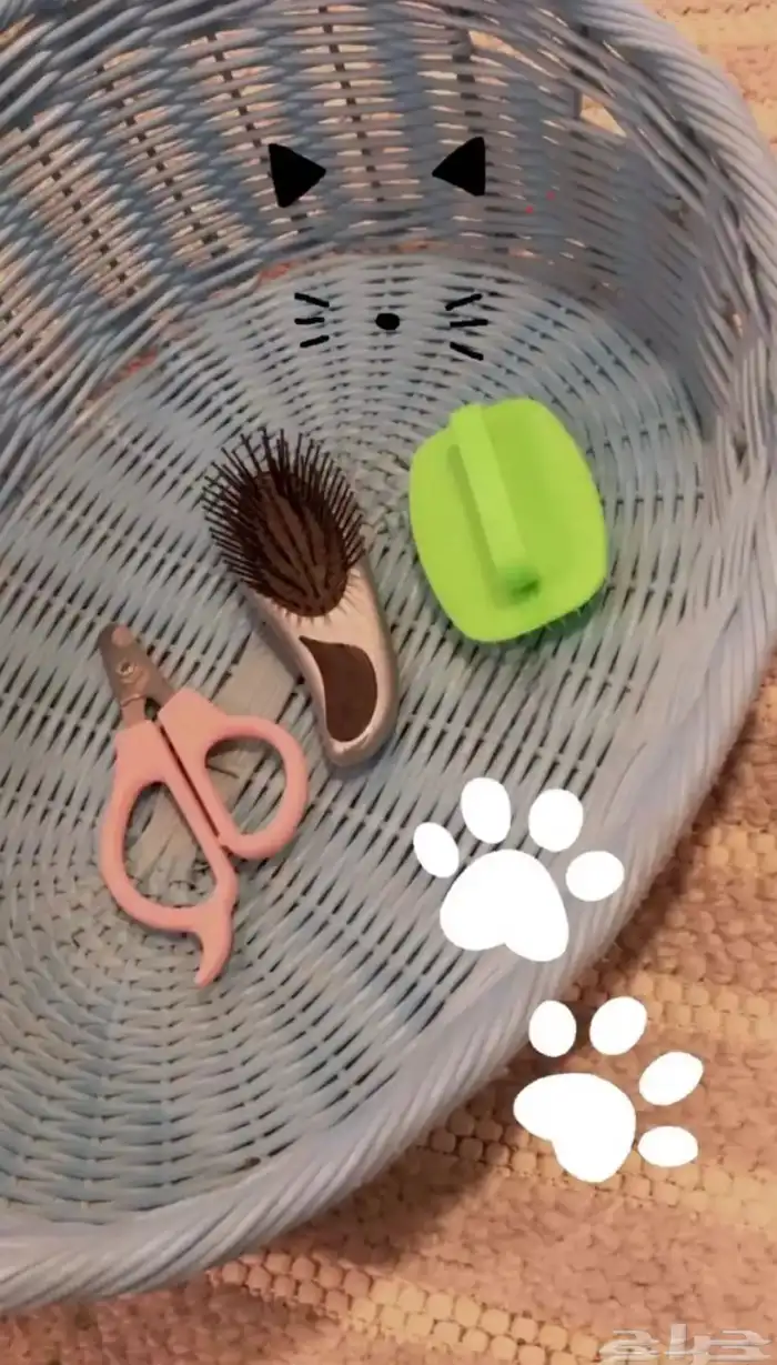 مستلزمات اغراض قطط 3