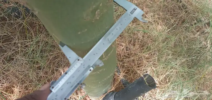 بنسيانا احجام كبيرة  ياسمين هندي  جوافة تايلندي  وسدر  وتين 18