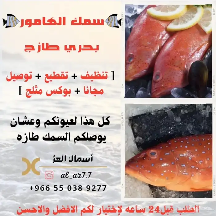 سمك طازه بحري يومي 0