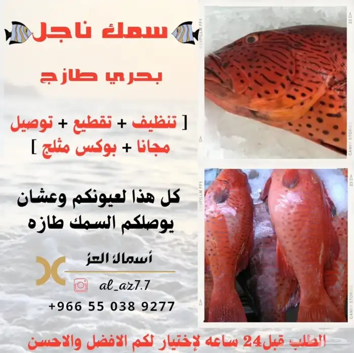 سمك طازه بحري يومي 2