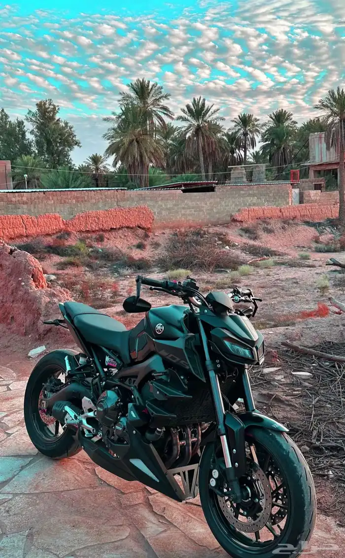 ياماها Street Fighter MT-09 2020 4