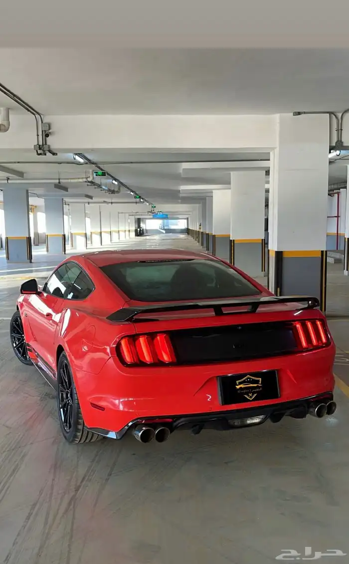 مباع مباع مباع موستنق V8لون جومانجو مباع مباع مباع 5