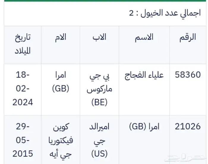 مهرة واهو 5