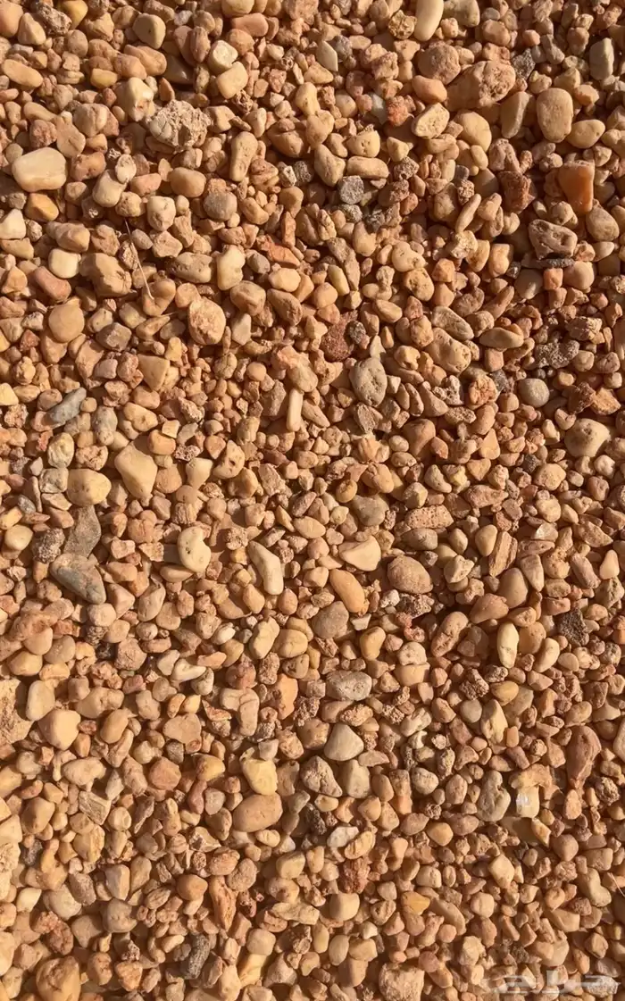 خرصان مرو حصم جميع الأنواع 3