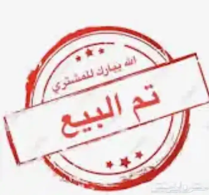 تيس بيشي ذبيحه ثلاجه ( تم البيع ) 4