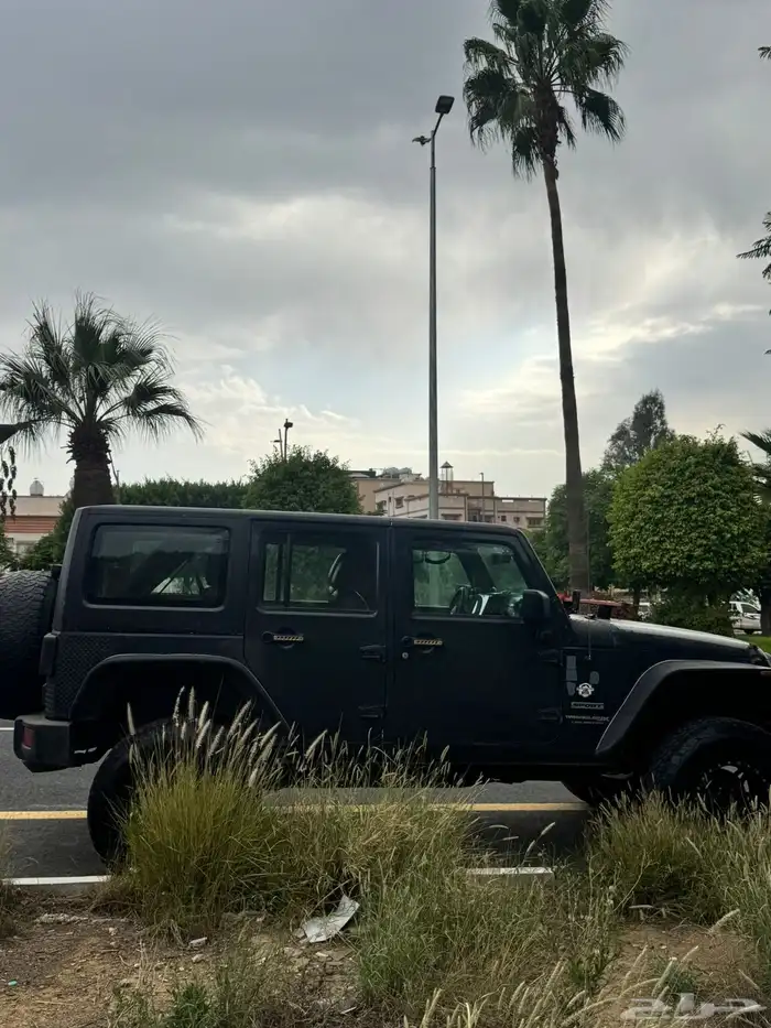 جيب رانجلر 3