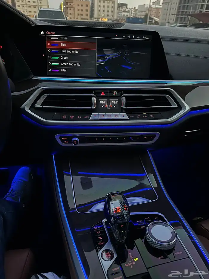 بي ام دبليو BMW X5 موديل 2021 ممشى 29 الف 18