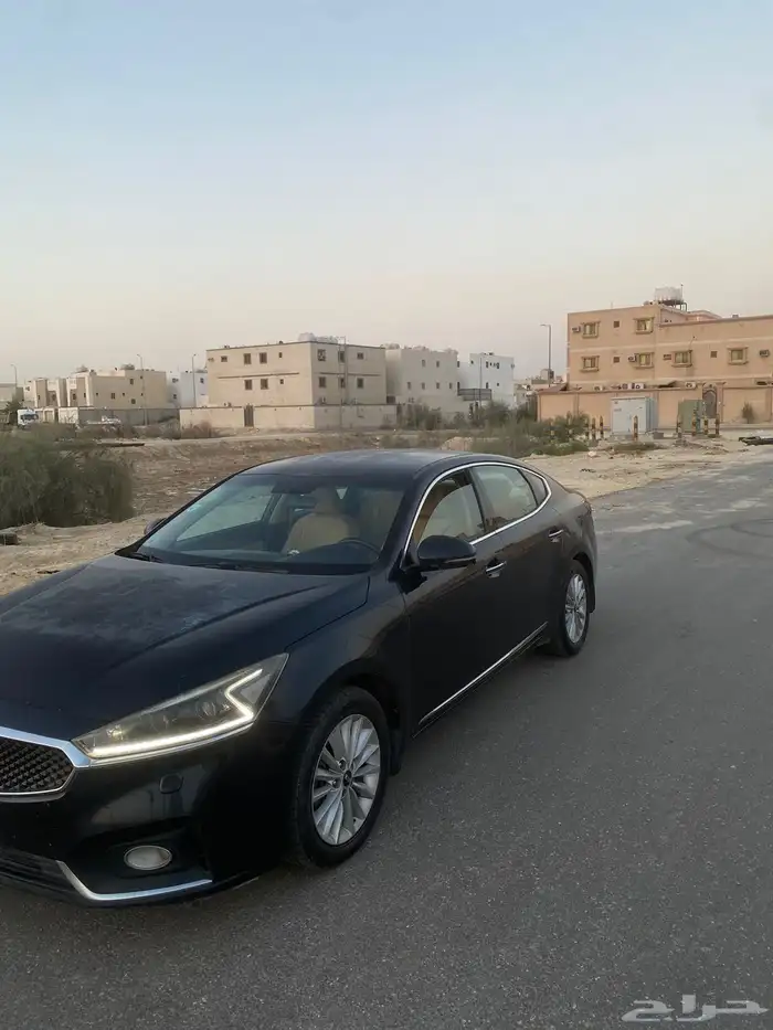كدنزا 2018 2